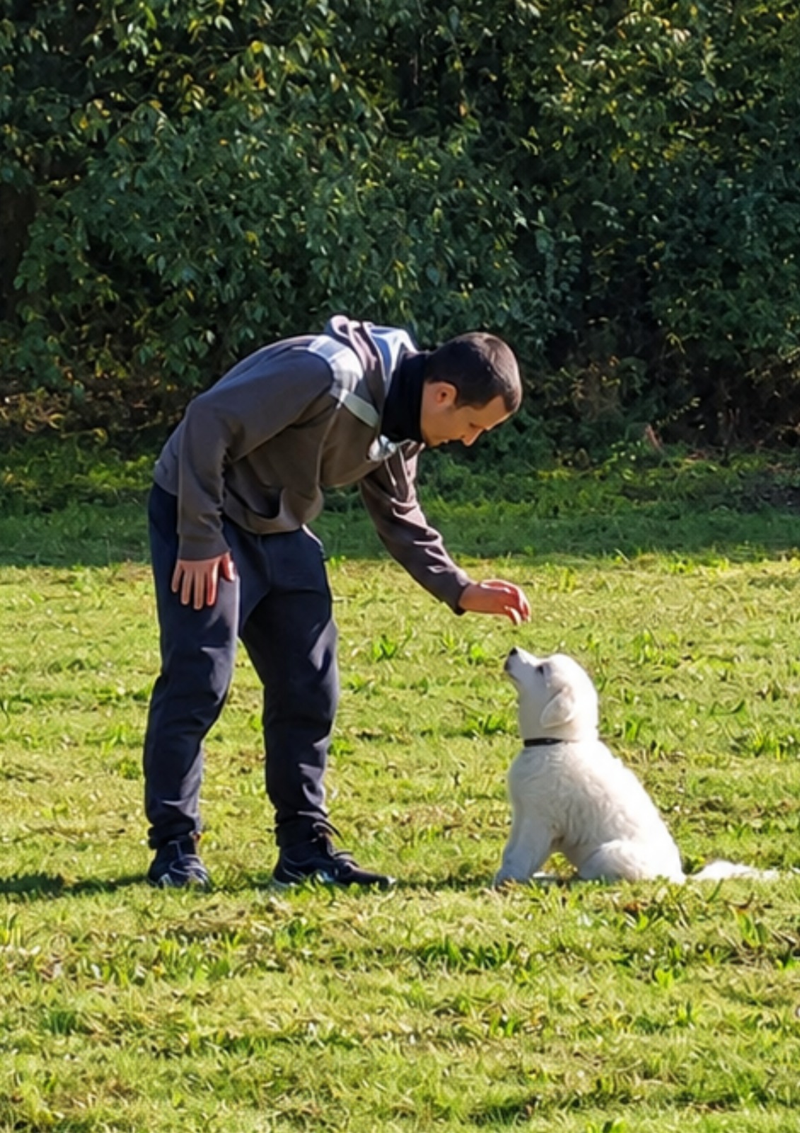 Riccardo Bacci lavora con un cucciolo bianco in un prato